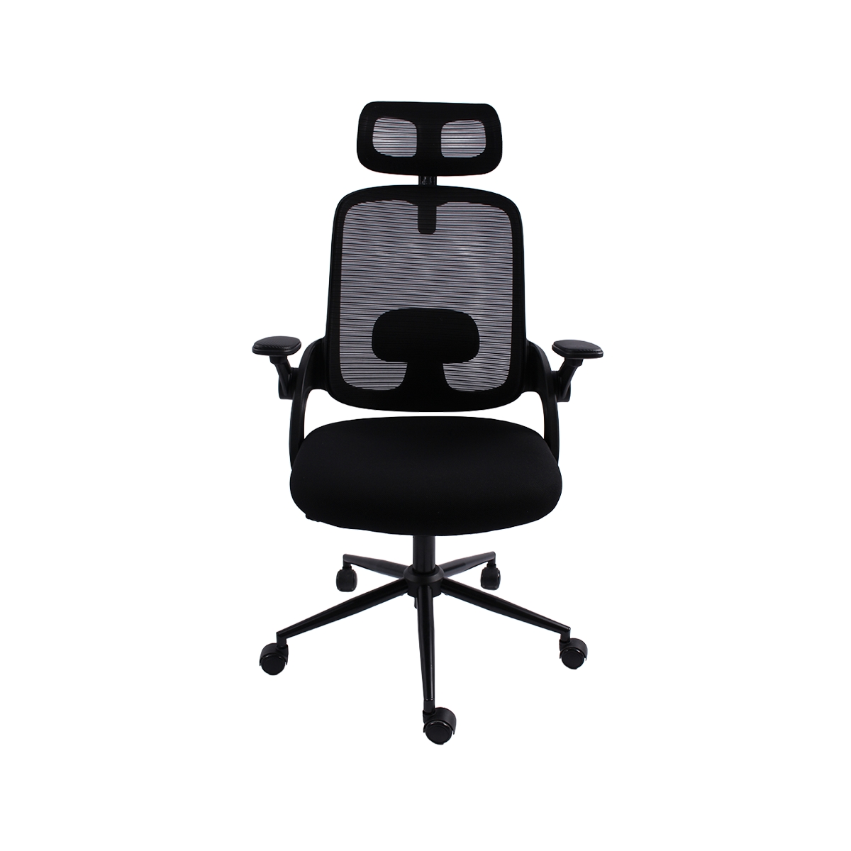 Imagen principal